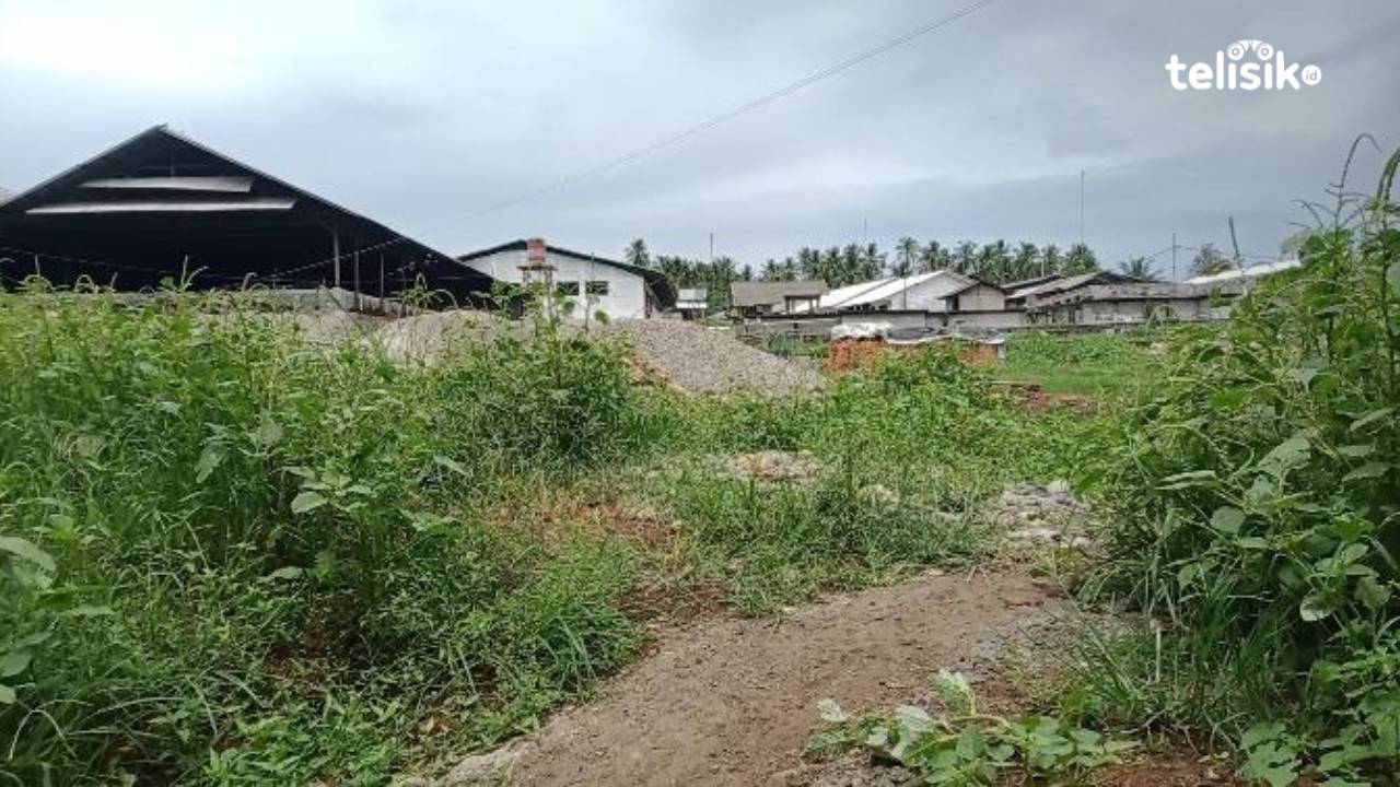 Sebar Bau Busuk, Warga Batu Karang Deli Serdang Keluhkan Perusahaan Peternakan Ayam