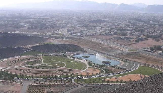 Tanda Kiamat? Deretan Kota Ini Menghijau di Arab Saudi