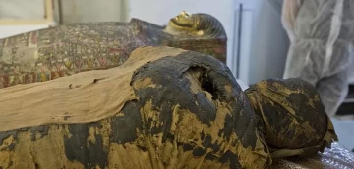 Ilmuwan Polandia Berhasil Rekonstruksi Mumi Hamil 28 Pekan Berusia 2000 Tahun