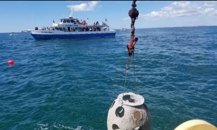 Mayat Dijadikan Kompos, Eternal Reefs Tawarkan Pemakaman Aneh di Dunia