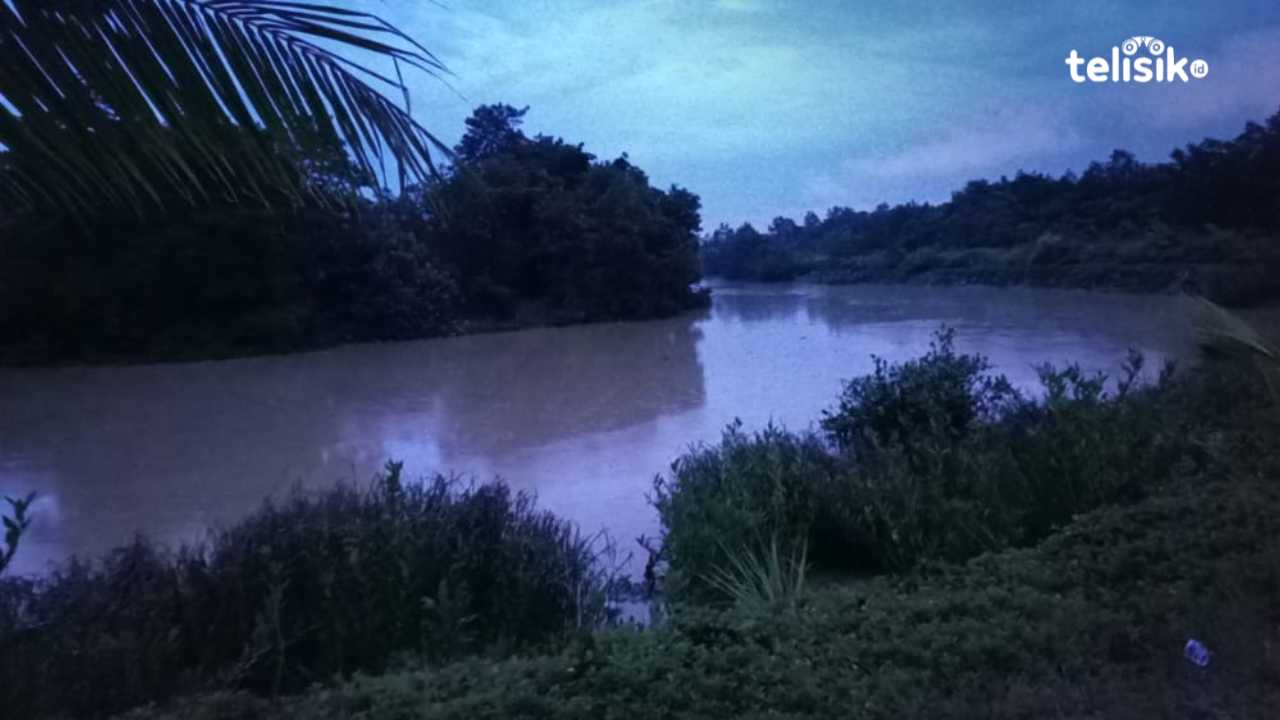 Buaya Teror Warga Sekitar Sungai Wanggu