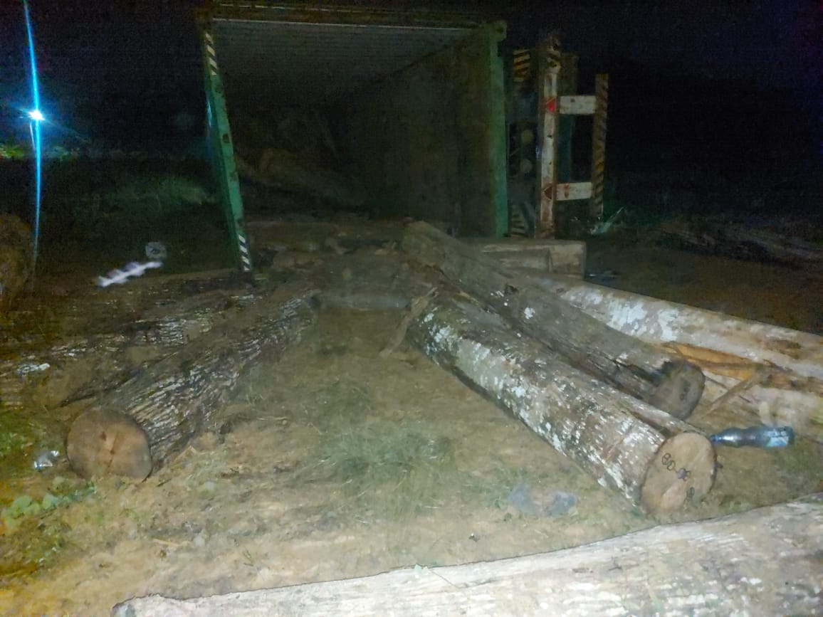 Pria di Kota Kendari Tewas Tertimpa Kayu Bulat