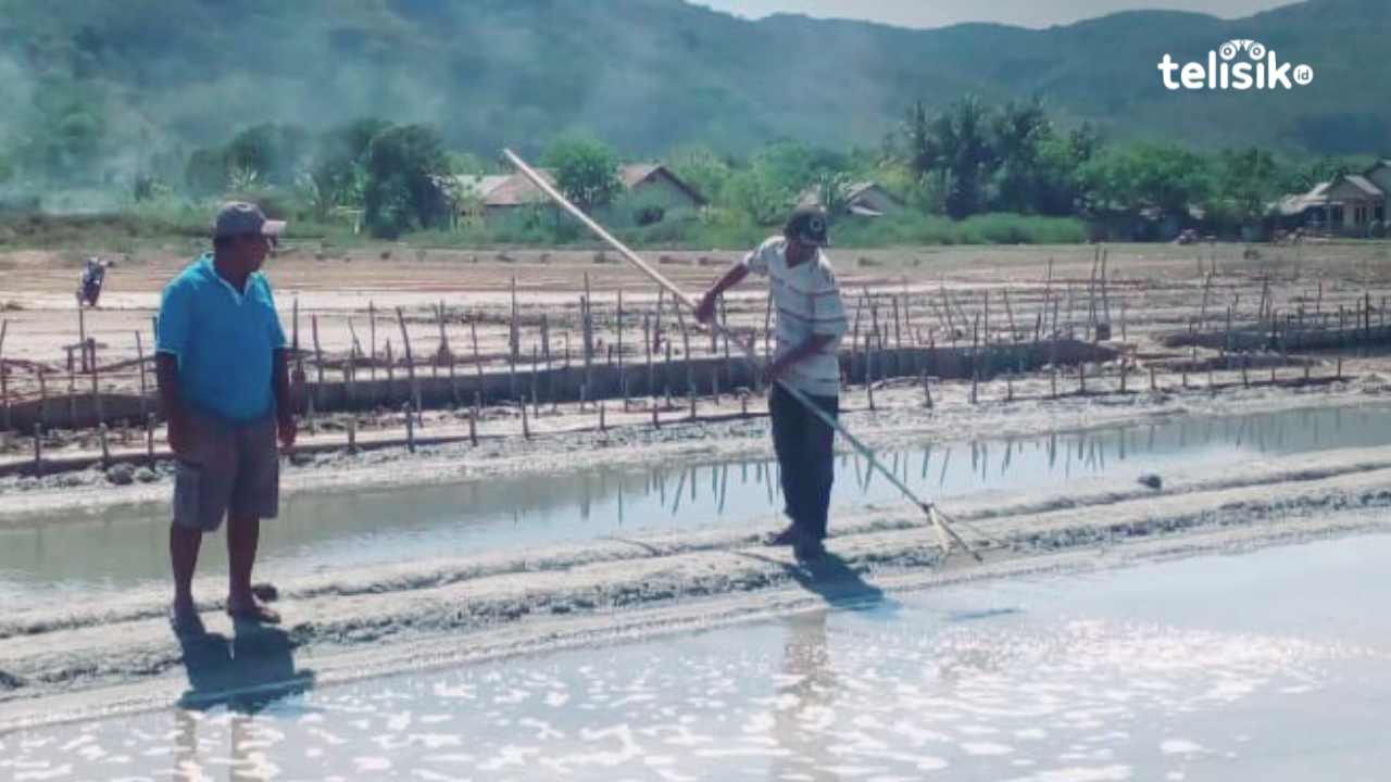 Sedihnya Petani Garam di Manggarai Gagal Panen Selama Setahun