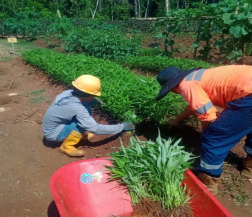 Smelter Pengolah Biji Nikel Beroperasi di Bombana