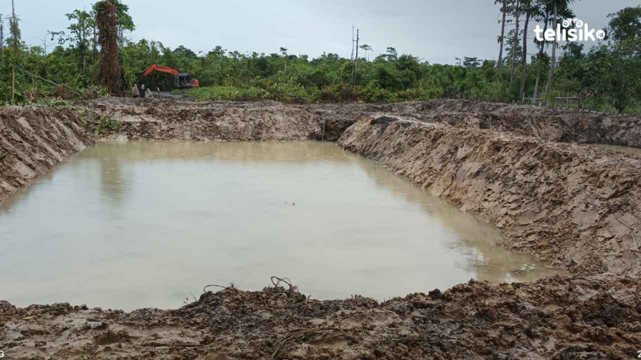 Dua Tambak Ikan Air Tawar Dibangun di Muna
