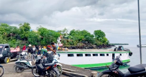 Flores Timur Perketat Pintu Masuk Cegah Virus Babi