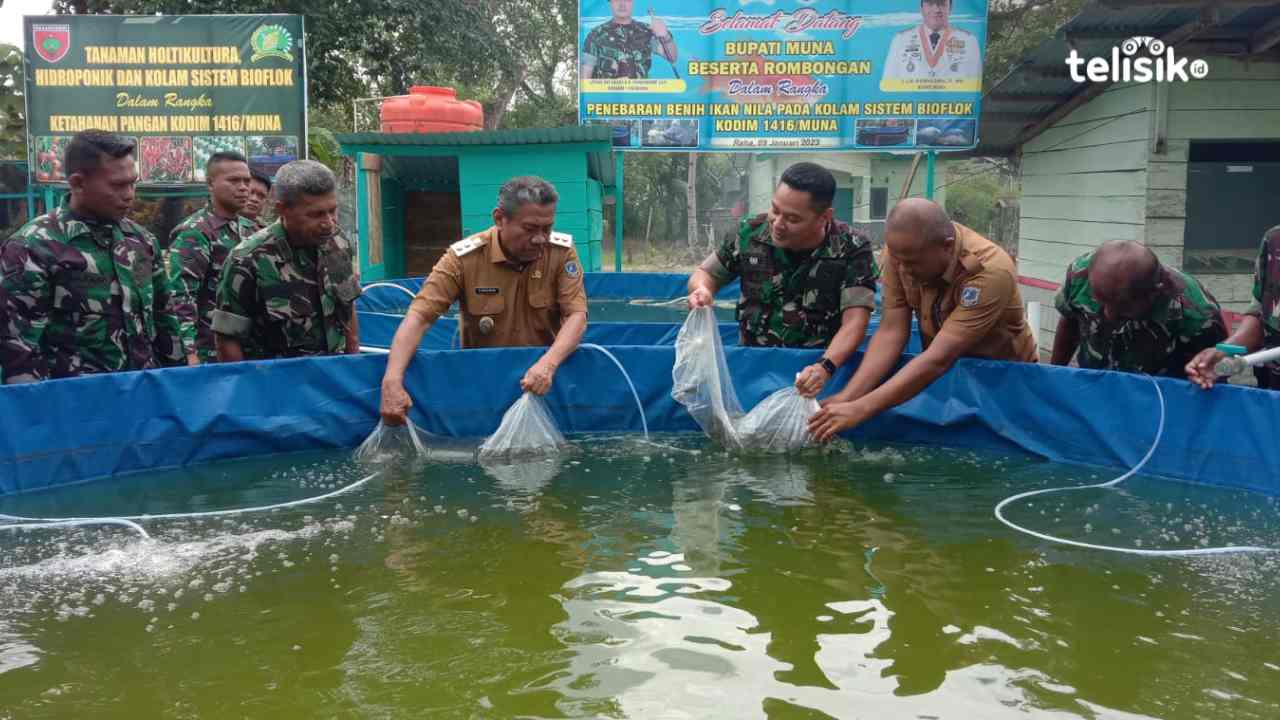 Kolam Ikan Bioflok Kodim 1416 Muna Jadi Percontohan