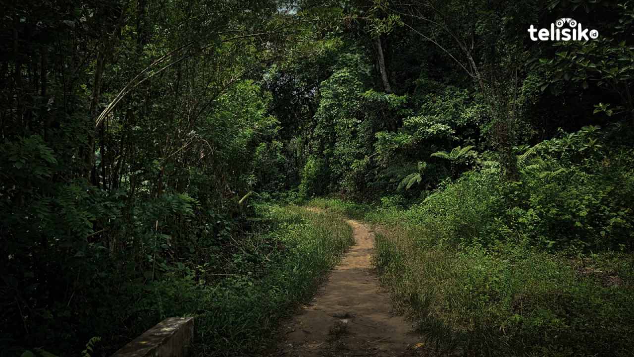 Lokasi Ini Diyakini Sebagai Kampung Makhluk Gaib di Kota Kendari