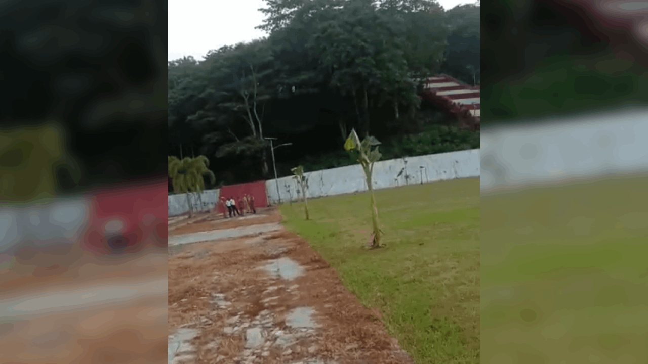 Lokasi Perayaan HUT Kolaka Utara Ke-19 Ditanami Pohon Pisang