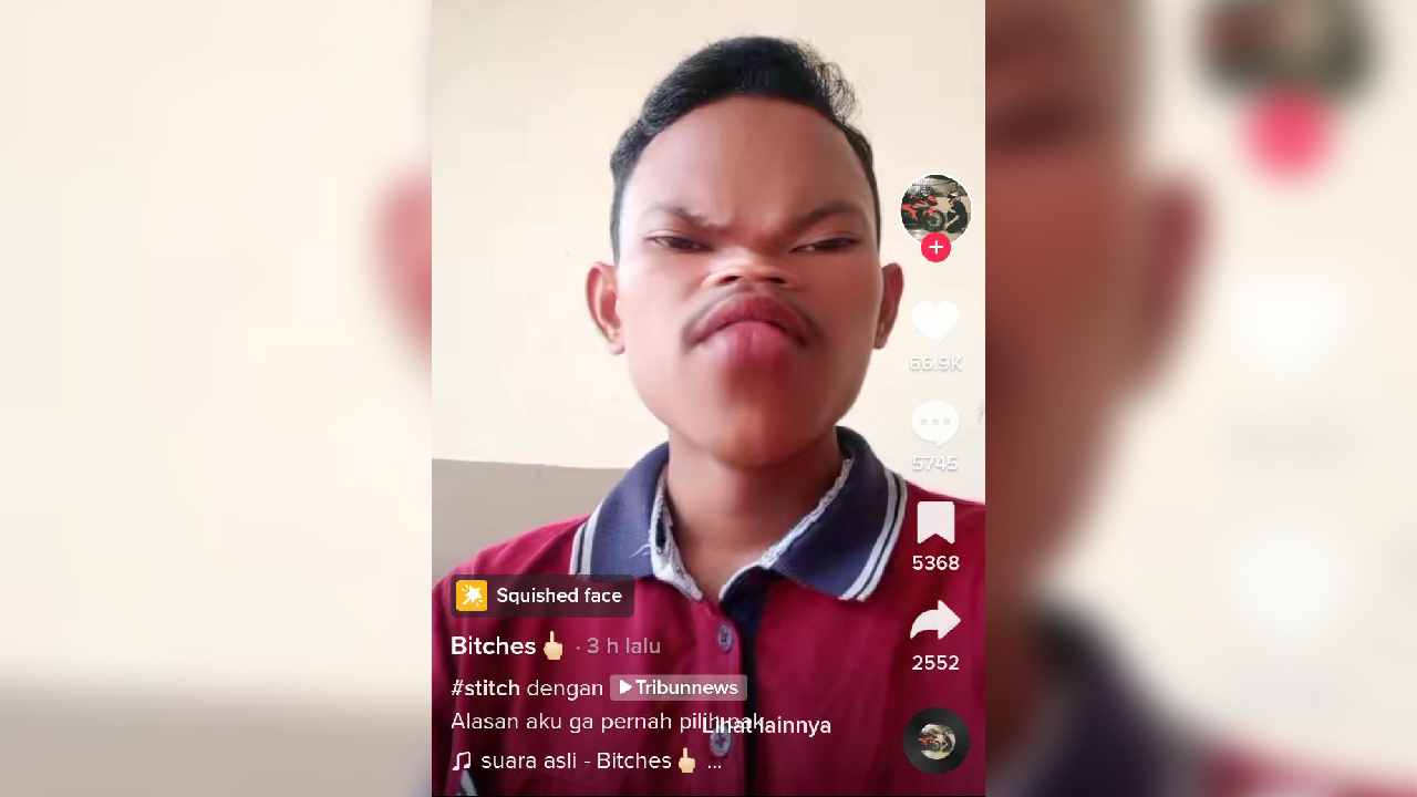 Megawati Dihina di Tiktok, Pengurus Partai Beri Penegasan