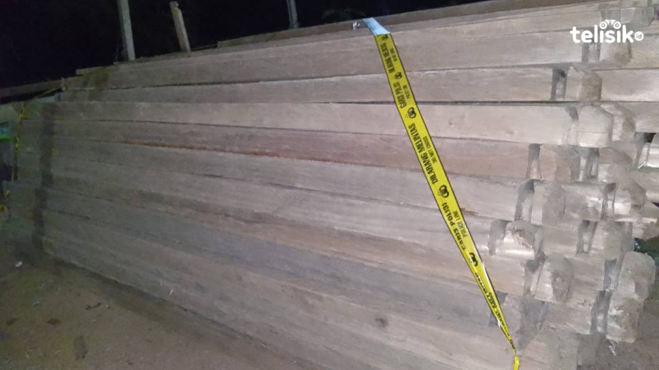 Puluhan Kubik Kayu Rimba Campuran Diamankan Polisi