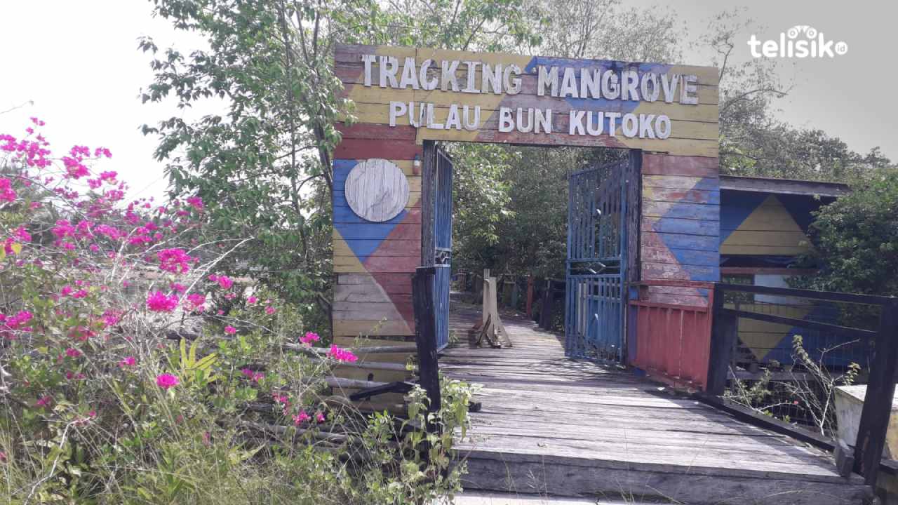 Sempat Hits, Tracking Mangrove Bungkutoko Kini Memprihatikan