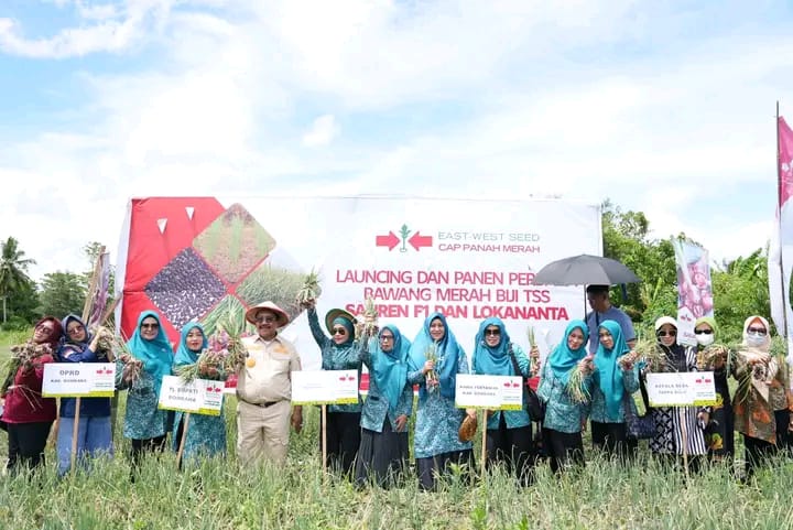 Bawang Merah Olahan Kelompok Tani Bombana Berlimpah Ruah