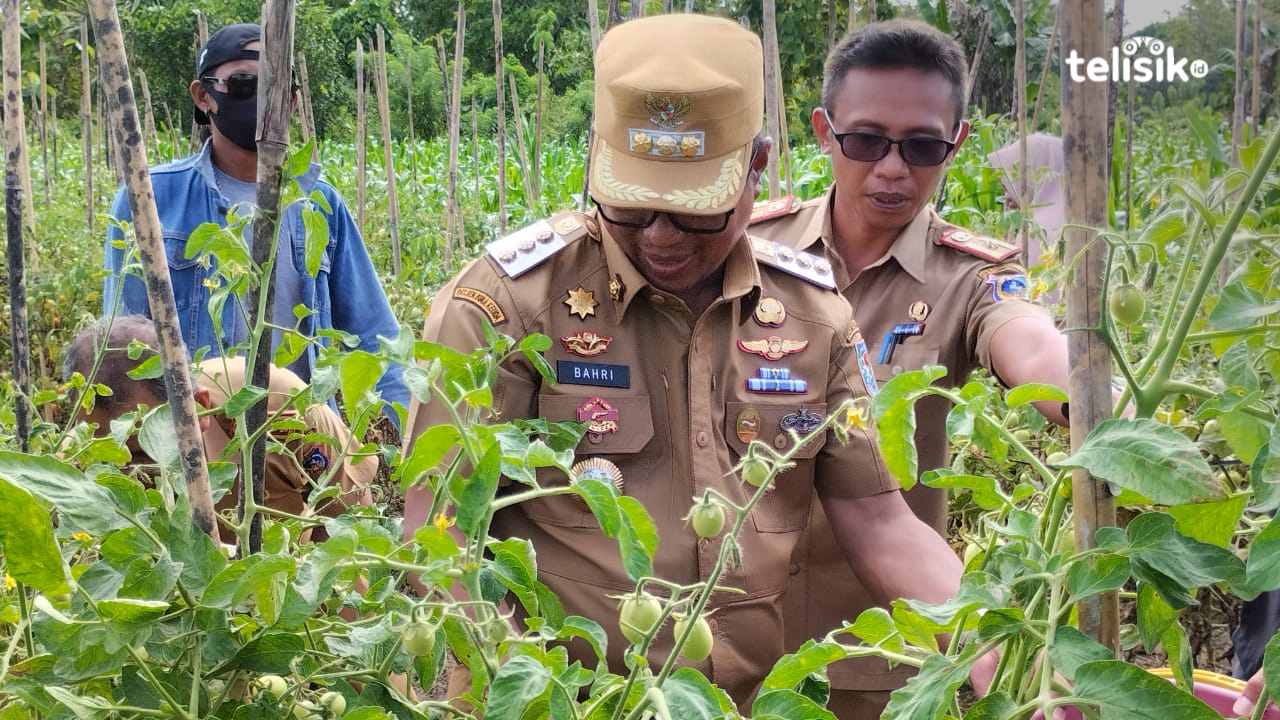Gerakan Tanam Cepat Panen Langkah Penangan Inflasi di Muna Barat