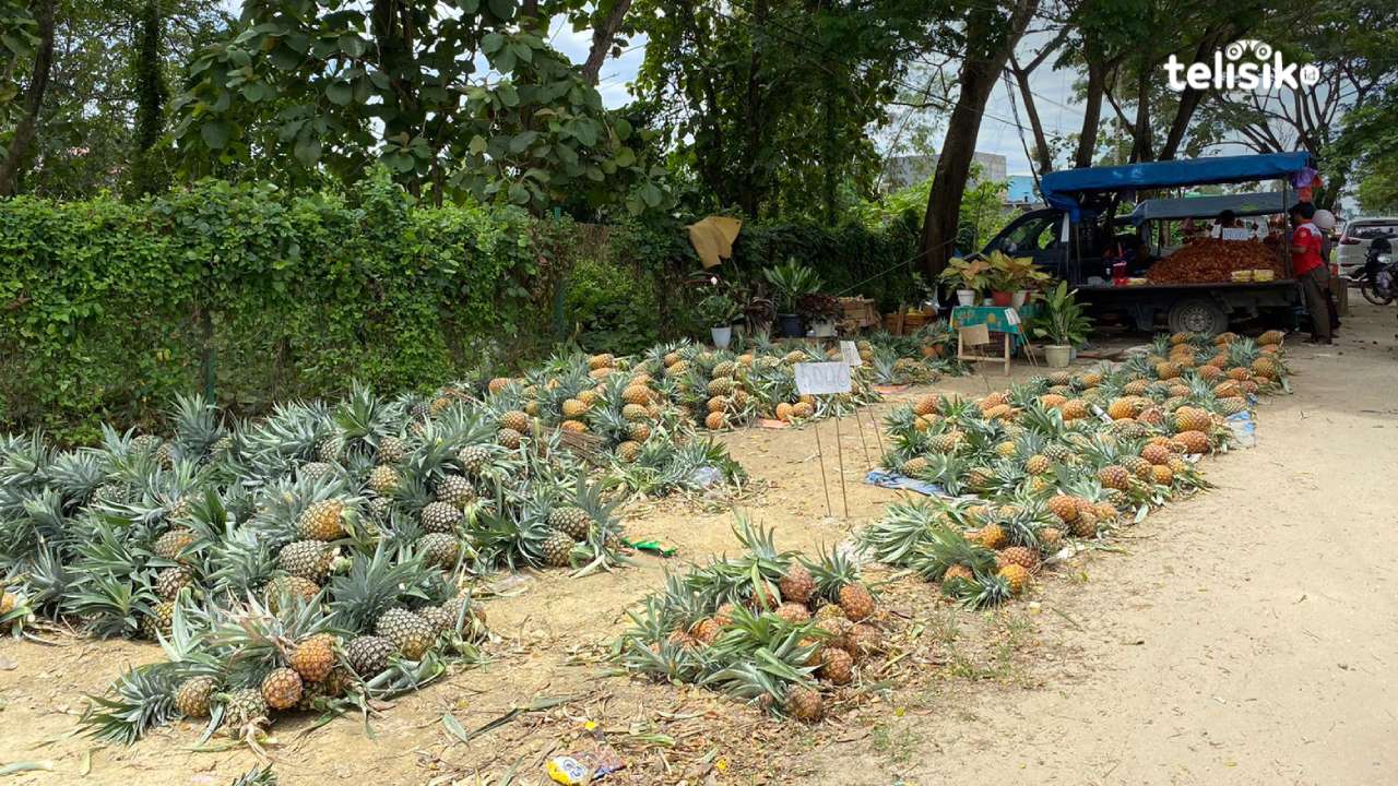 Nanas Membludak Pedagang Banting Harga