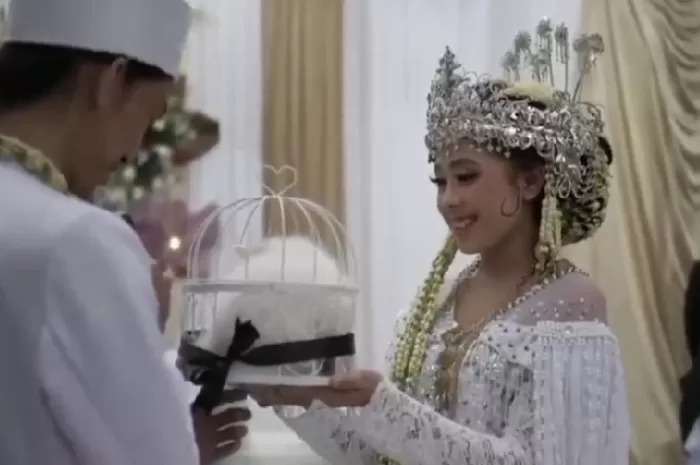 Viral Momen Ijab Kabul Mas Kawin Kucing