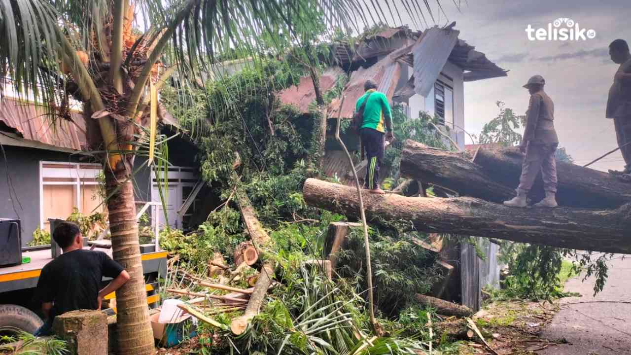 Kantor IMI Ambruk Akibat Pohon Tumbang