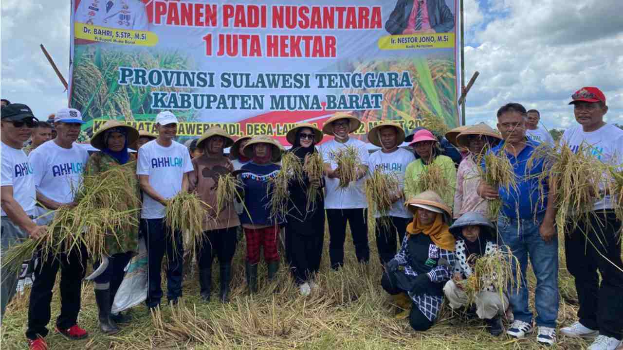 Padi 1 Juta Hektare Dipanen untuk Penuhi Kebutuhan Beras Muna Barat