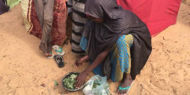 Jutaan Warga Muslim di Negara Ini Buka Puasa Makan Daun, Ribuan Orang Tewas