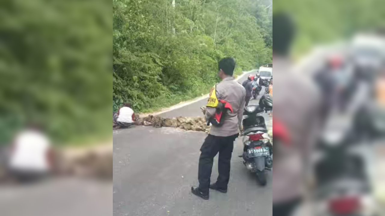 Viral Seorang Ibu di Buton Blokir Jalan Poros