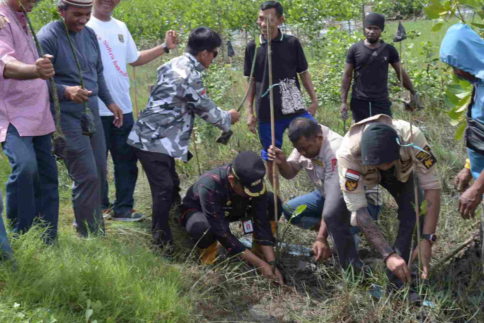 Cegah Abrasi dengan Tanam Mangrove di Teluk Kendari