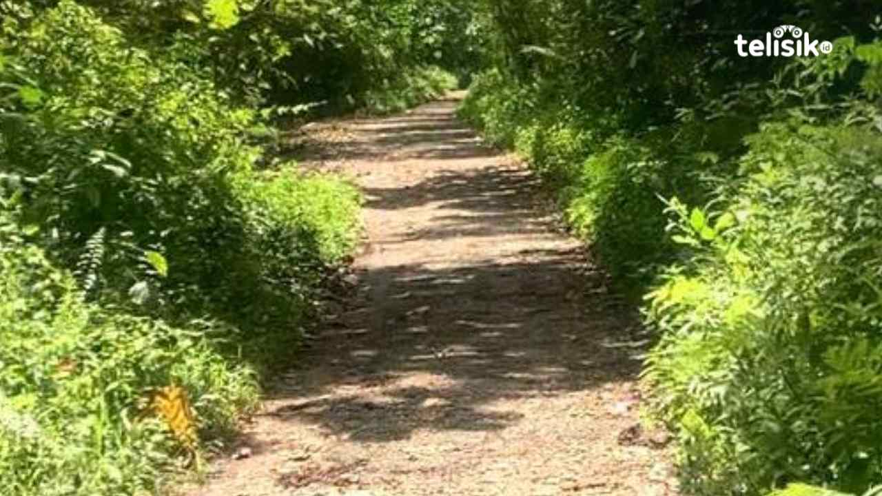 Akses Jalan Utama ke SMKN 5 Baubau Rusak