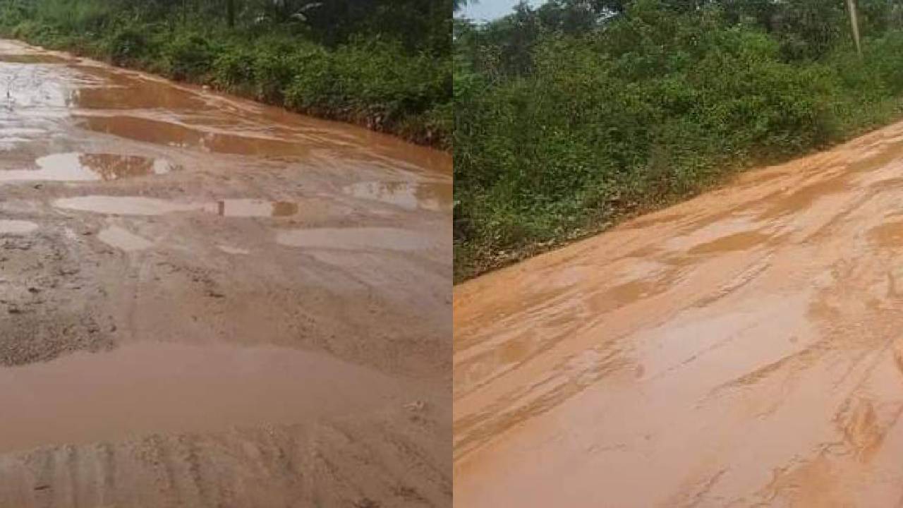 Jokowi Buka Aduan Jalan Rusak Seluruh Indonesia, Termasuk Sulawesi Tenggara