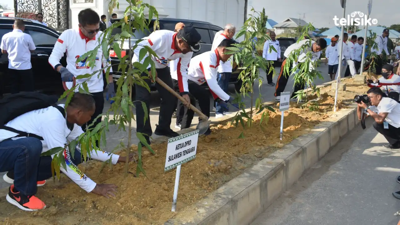 Pemkot Kendari Menanam Kembali Pasca 3 Ribu Pohon Ditebang