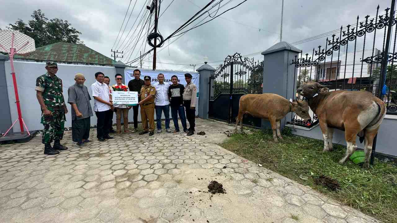 16 Ekor Sapi Kurban Disalurkan untuk Warga Desa di Konawe Utara dan Kendari