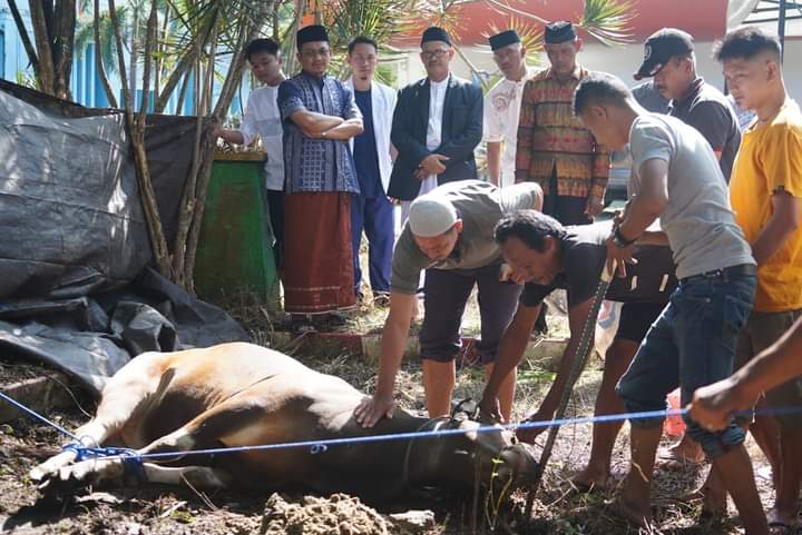615 Sapi dan 17 Kambing Kurban Disembelih di Kolaka Utara