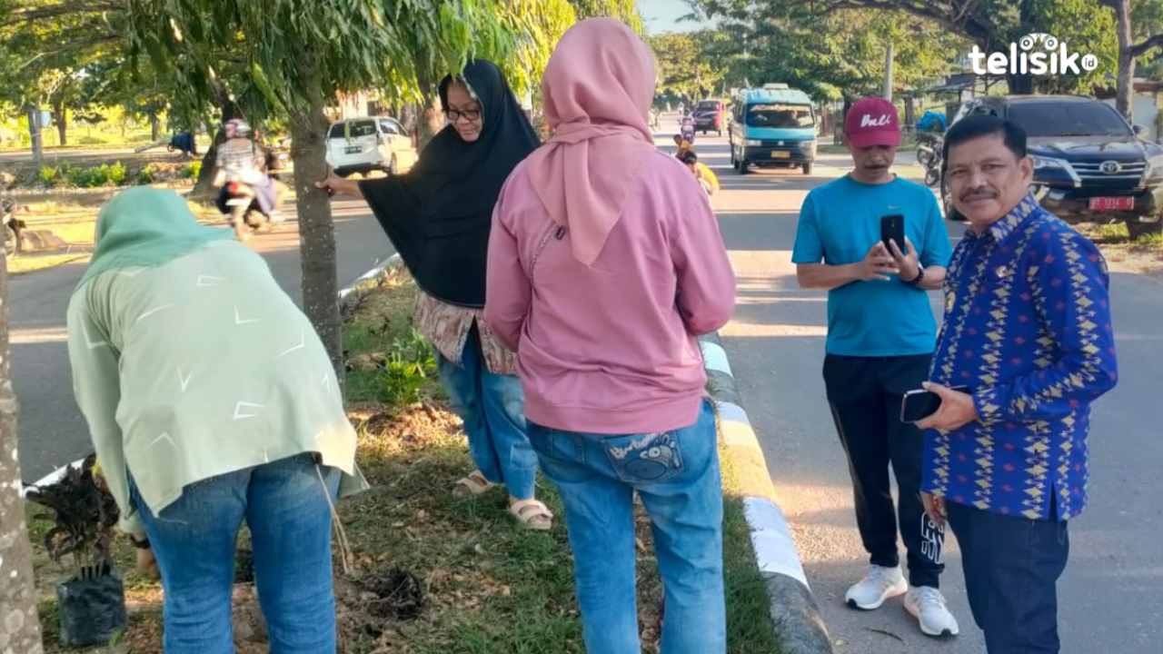 Bunga di Taman Dicuri, Sekda Muna Perintahkan Satpol PP Jaga