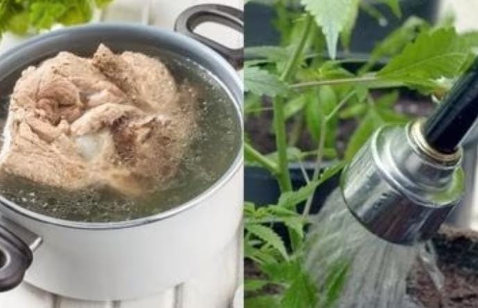 Jangan Asal Buang, Ini Manfaat Air Rebusan Daging 