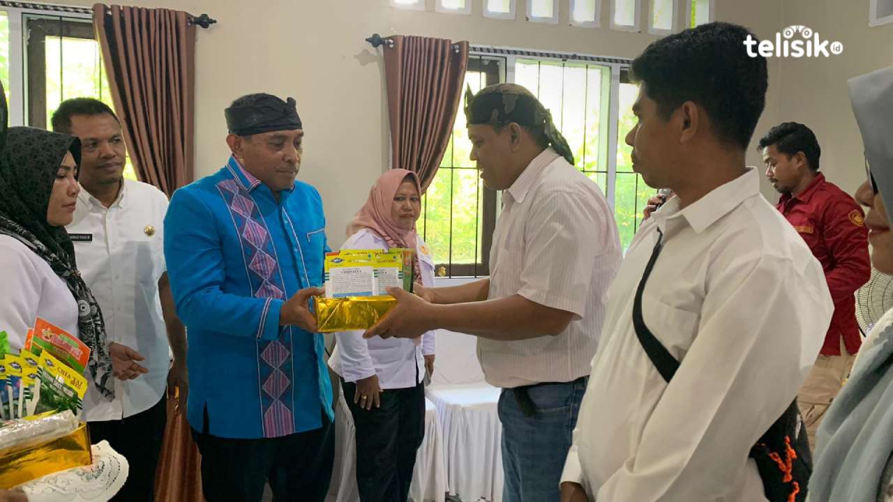Masyarakat Kota Baubau Dapat Bibit Hidroponik dan Hewan Ternak