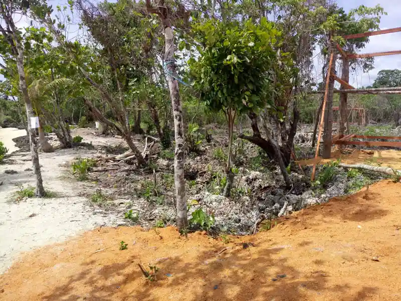 Pesona Pulau Kondo di Desa Ronokomea Bombana