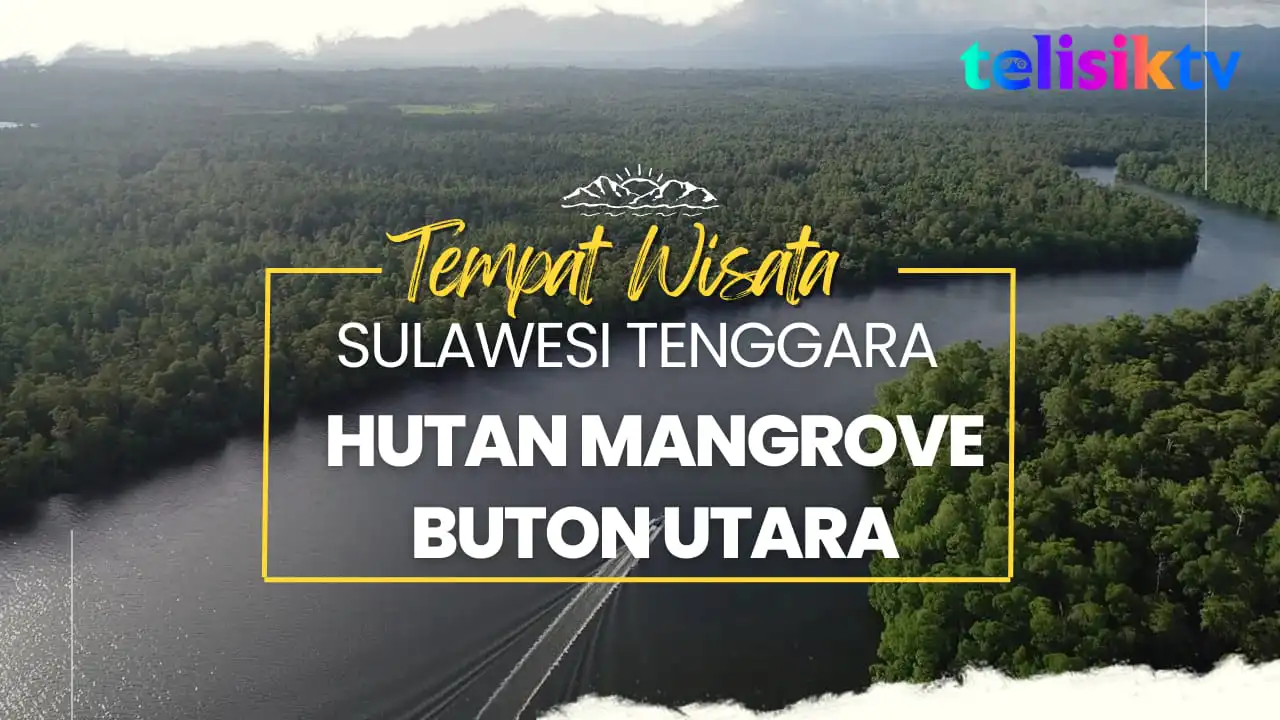Video: Keindahan Wisata Hutan Mangrove Buton Utara