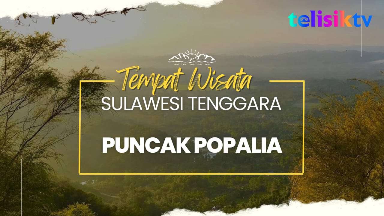Video: Puncak Popalia dengan Keindahan Pohon Cemara
