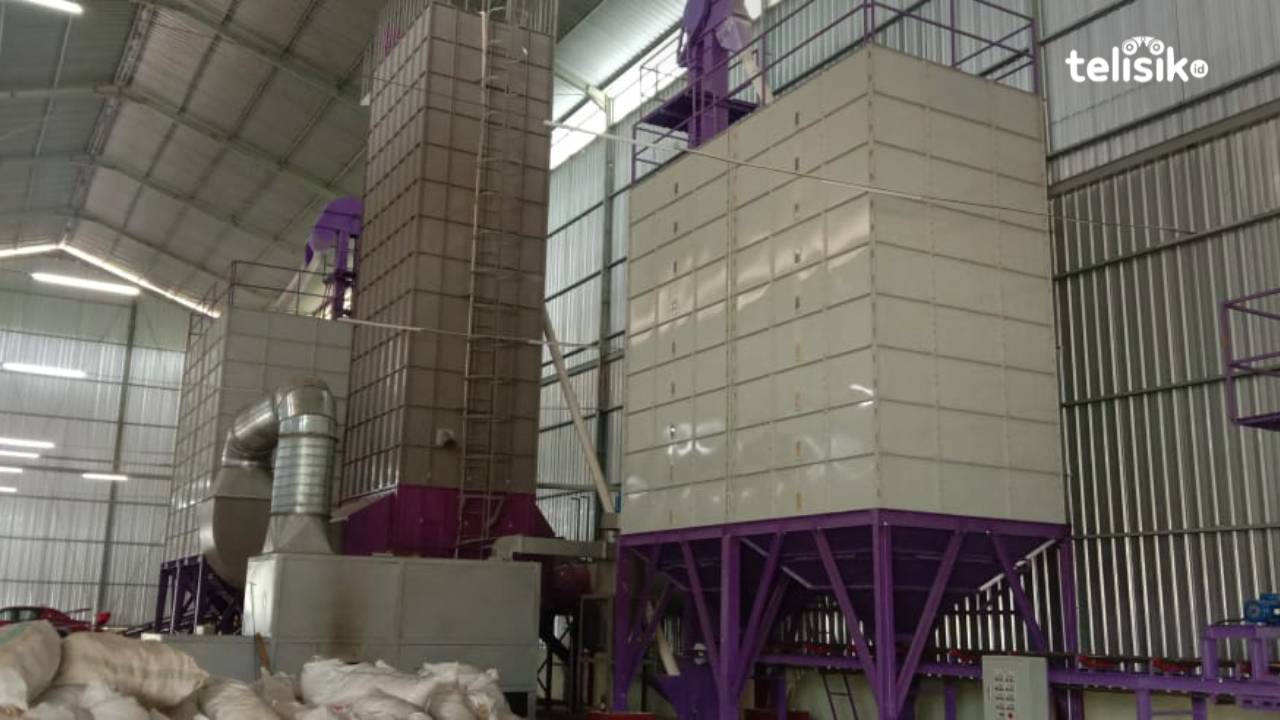 68 Desa di Muna Mulai Tanam Jagung untuk Dukung Pabrik