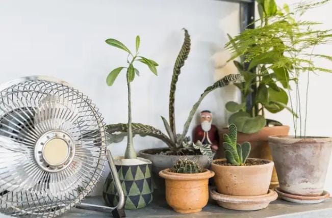 Cara Bikin Rumah Sejuk Tanpa AC