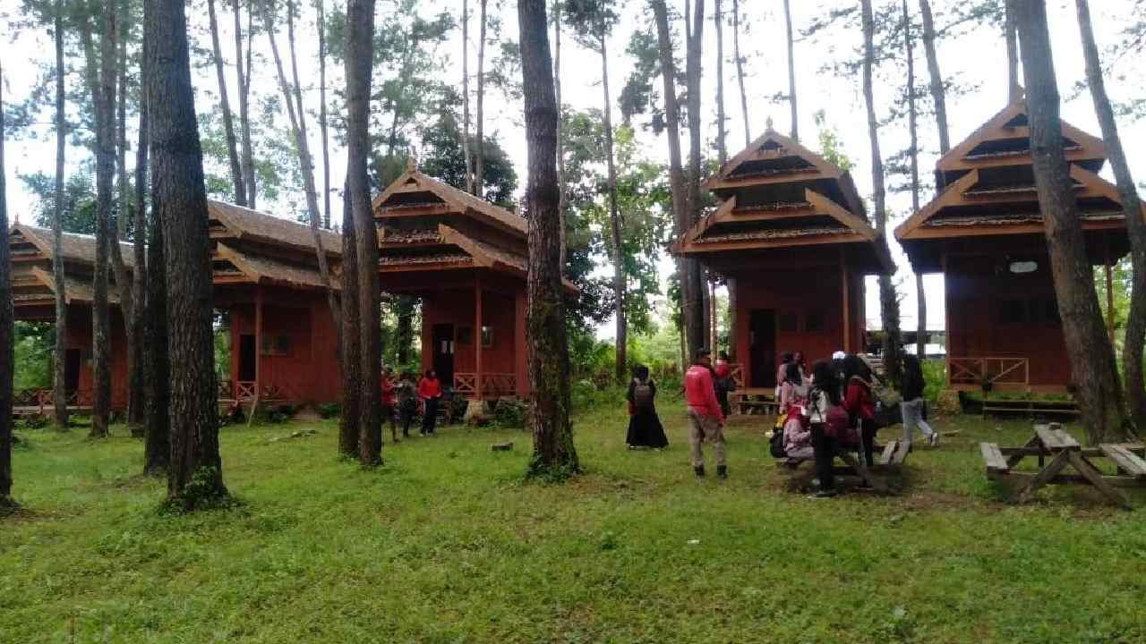 Hutan Pinus Desa Wisata Limbo Wasamparona Baubau Sajikan Beragam Wahana Alam