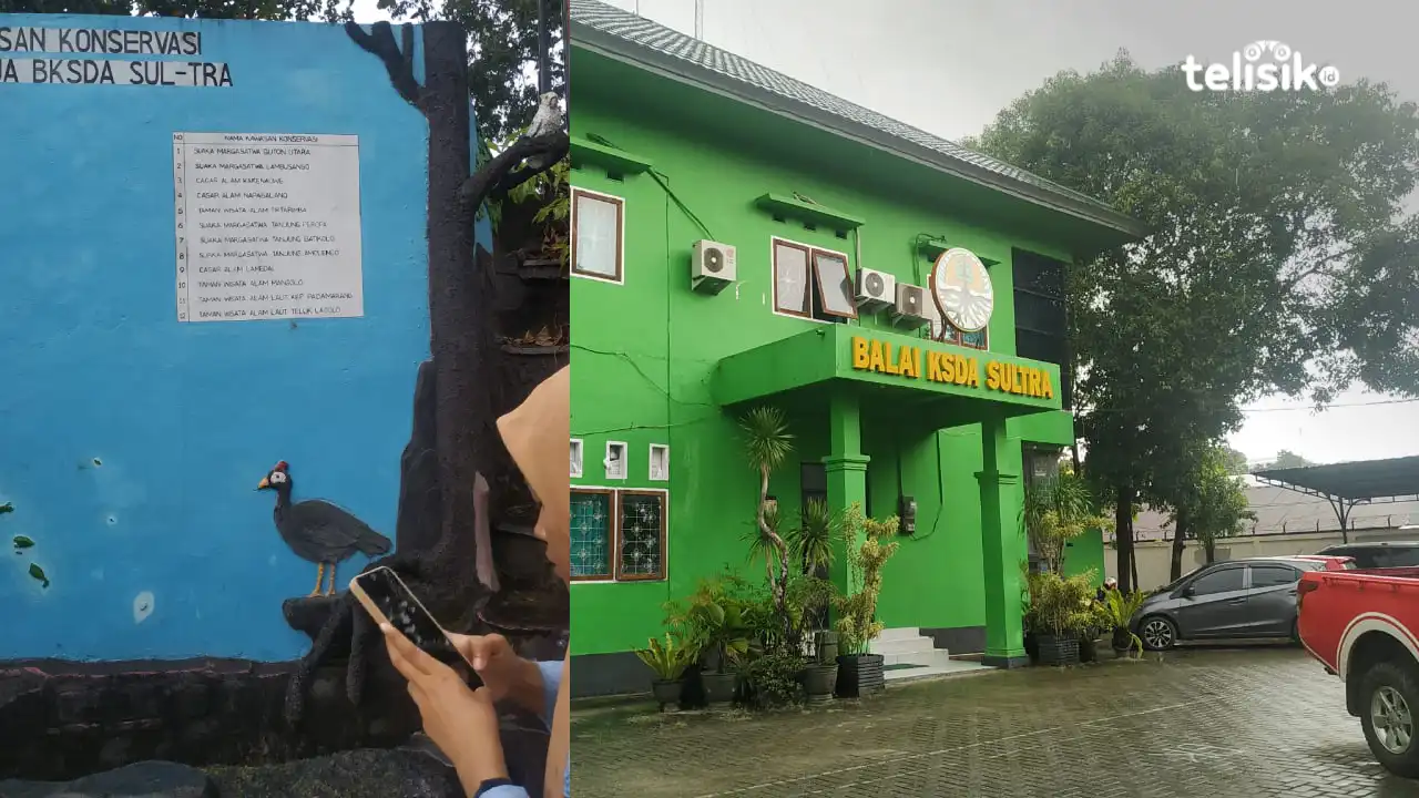 Populasi Satwa Anoa dan Burung Maleo di Sulawesi Tenggara Terancam Punah