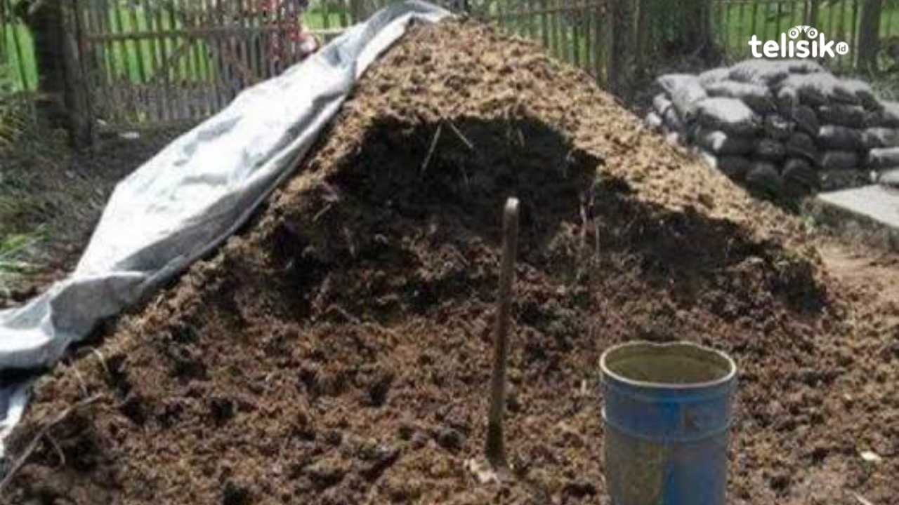 Pupuk Kimia Mahal dan Sulit Didapatkan, Masyarakat Beralih ke Kompos