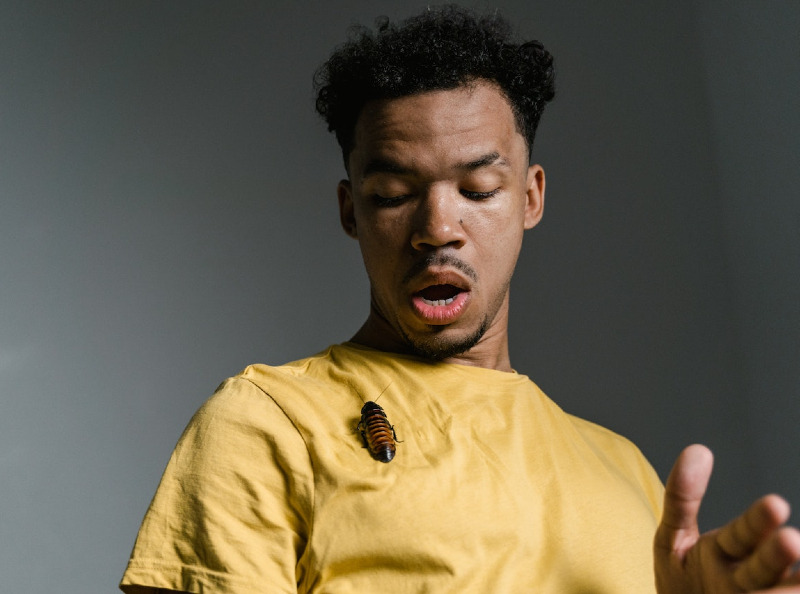 Tak Perlu Pakai Bahan Kimia, Beberapa Metode Alami Ini Ampuh Usir Kecoa