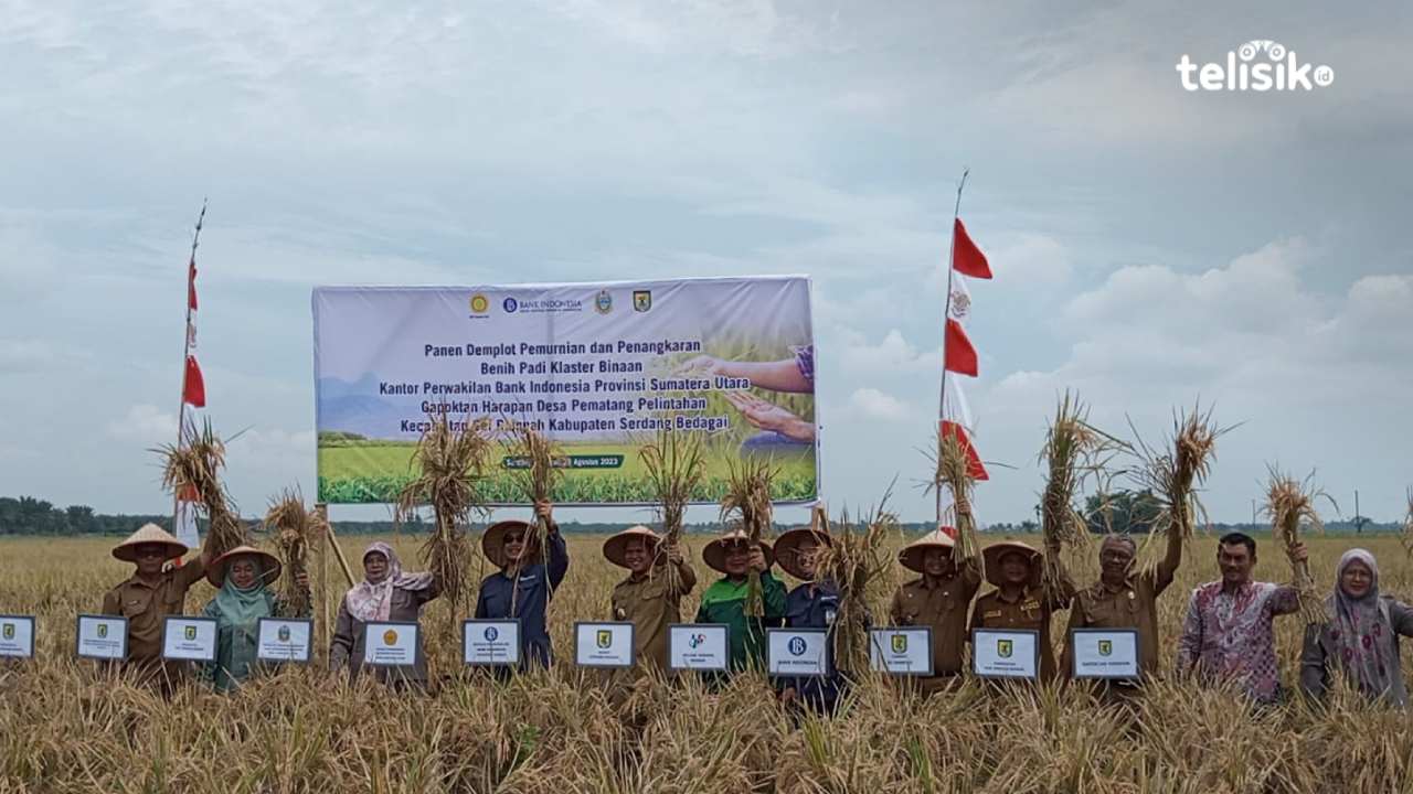 Gapoktan Cluster Padi Binaan Bank Indonesia Sumatera Utara Tekan Inflasi