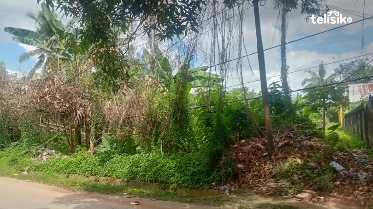 Kabel Milik PLN dan Telkom Menjuntai di Jalan, Warga dan Pengguna Jalan Khawatir