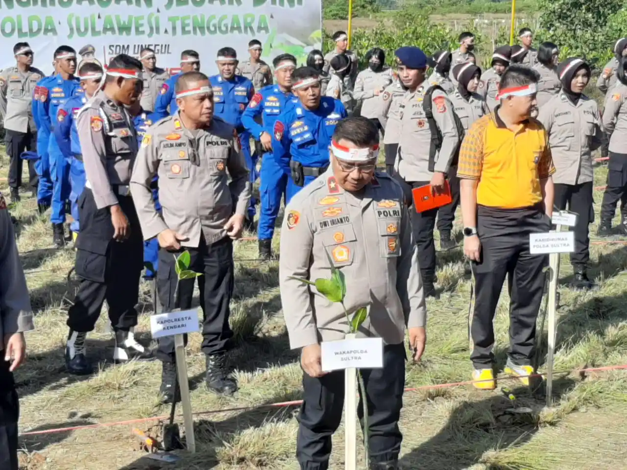 Maknai HUT ke-78 RI, Polda Sulawesi Tenggara Tanam 1000 Pohon Mangrove
