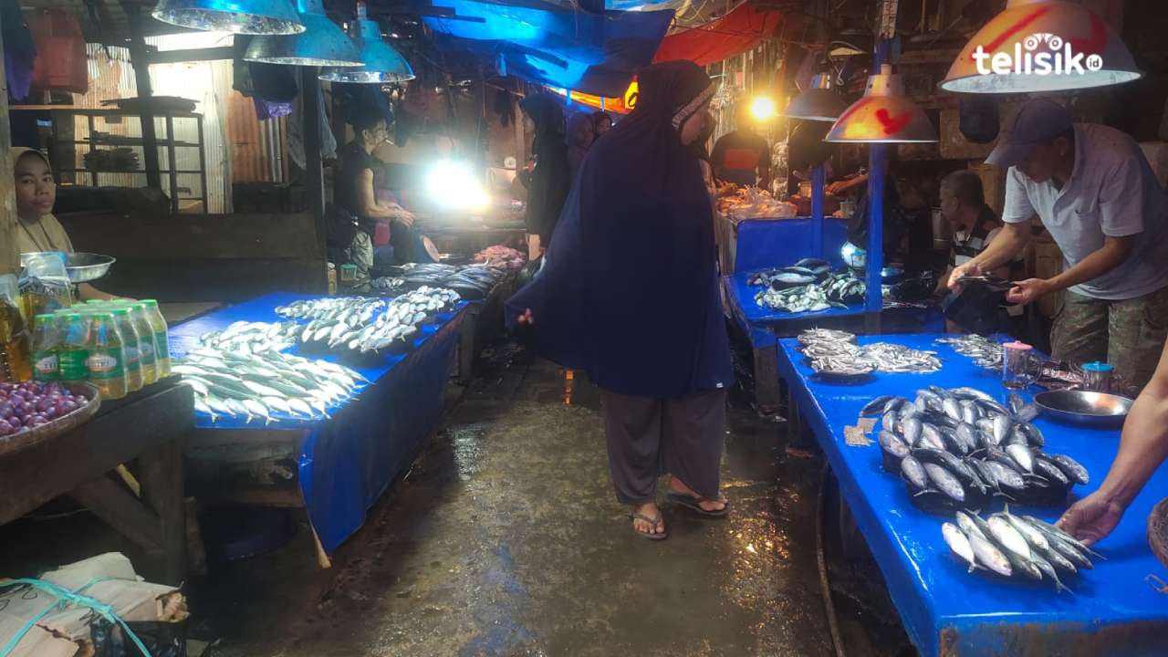 Harga Ikan di Kota Kendari Belum Stabil, Ini Sebabnya