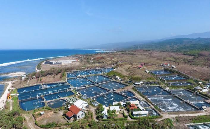 10 Perusahaan Startup Terbaik di Indonesia Versi LinkedIn