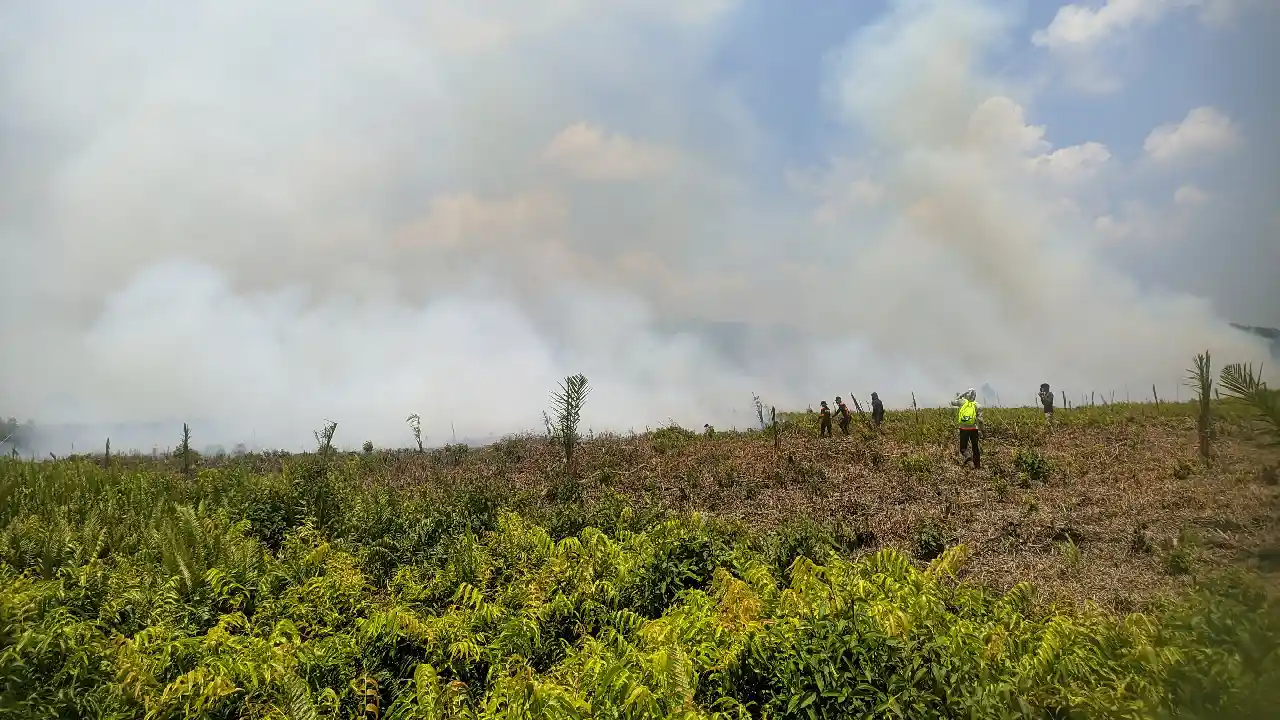 Pemadaman Kebakaran Lahan Gambut di Wesalo Terkendala Sumber Air