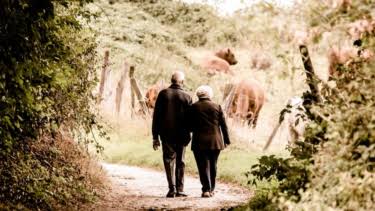 Seks Buat Otak Tetap Sehat di Masa Tua