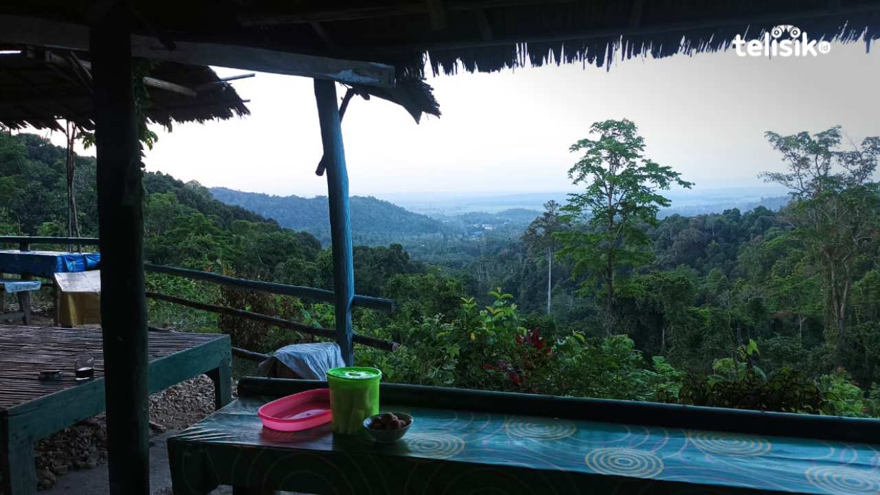 Wisata Puncak Triodahi Konda Konawe Selatan Suguhkan Keindahan Alam